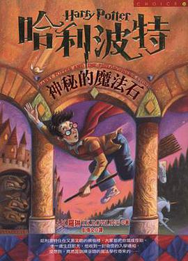 神秘的魔法石封面