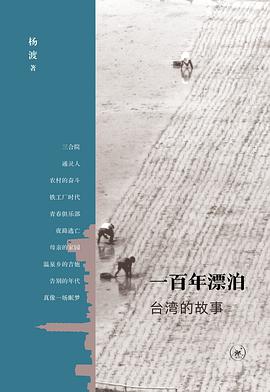 一百年漂泊封面