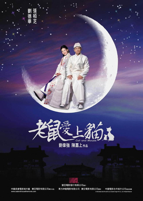 老鼠爱上猫封面