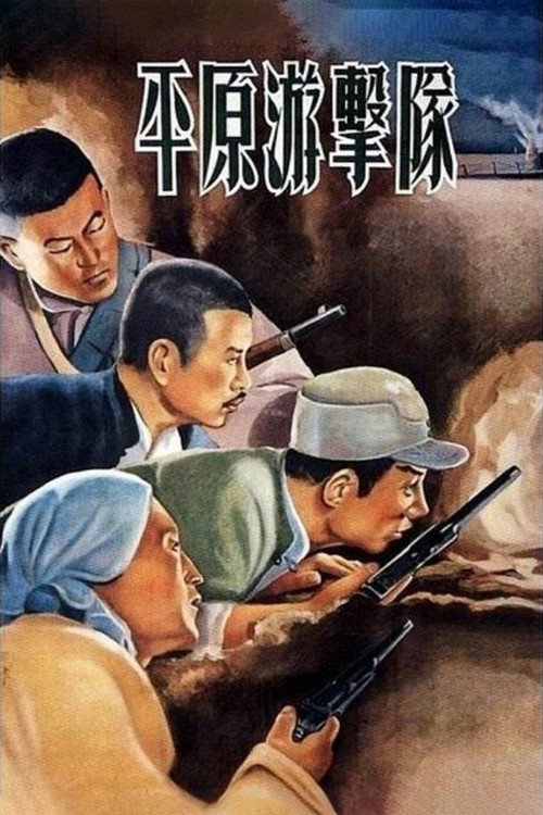 平原游击队封面