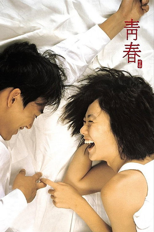青春封面