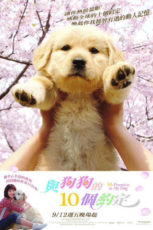 狗狗与我的十个约定封面