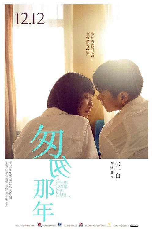 匆匆那年封面