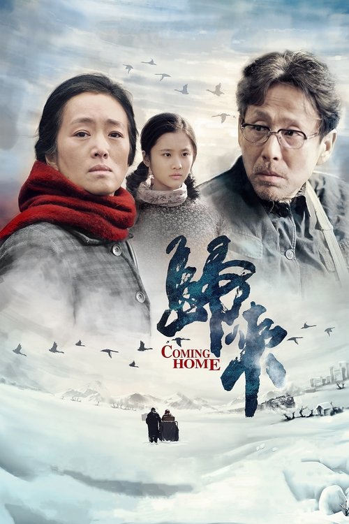 归来封面