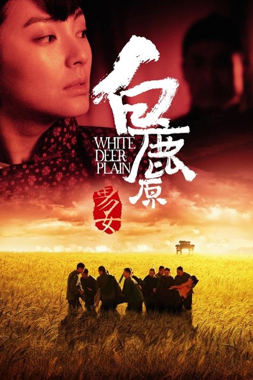 白鹿原封面