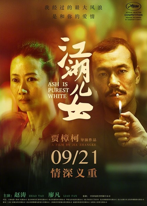 江湖儿女封面
