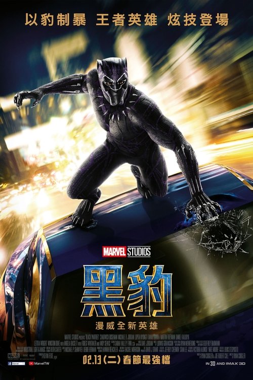 黑豹封面