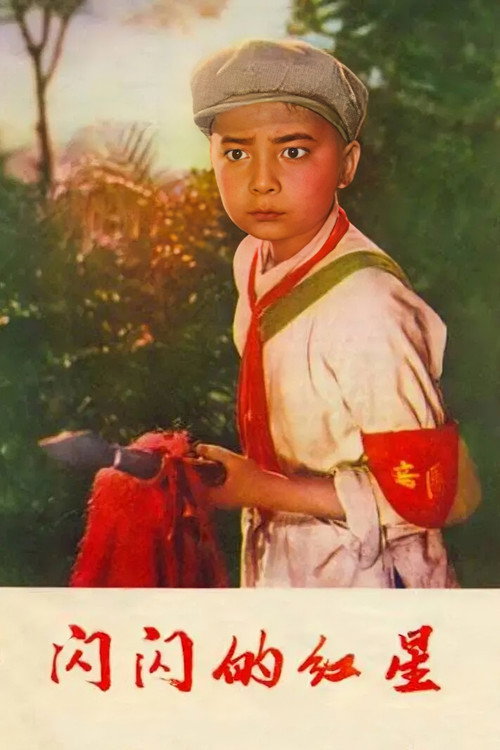 闪闪的红星封面