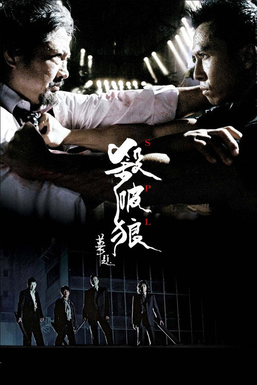 杀破狼封面