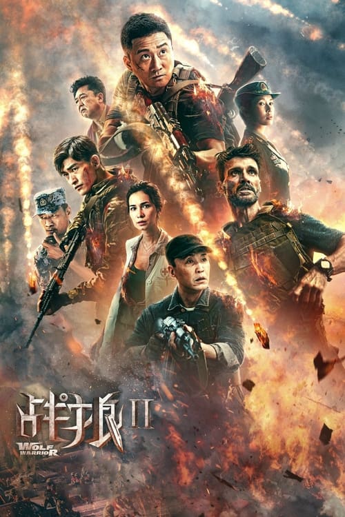 战狼2封面