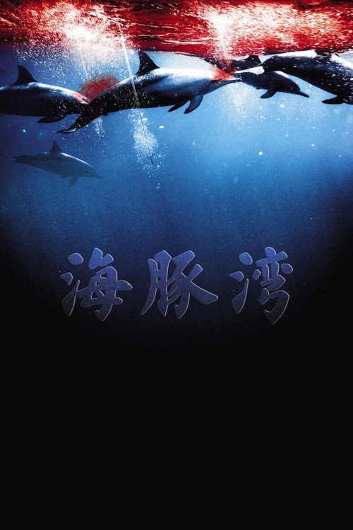 海豚湾封面