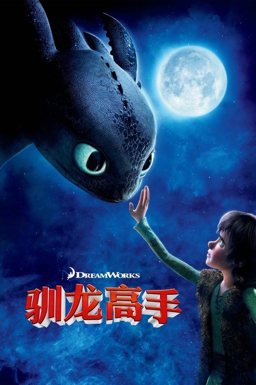 驯龙高手封面