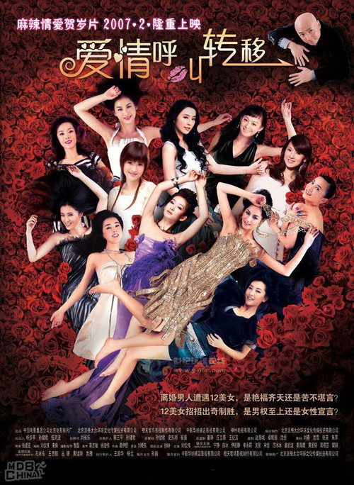 爱情呼叫转移封面