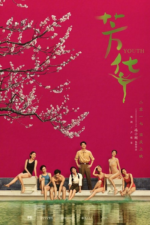 芳华封面