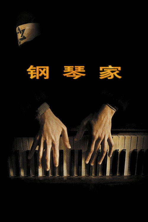 钢琴家封面