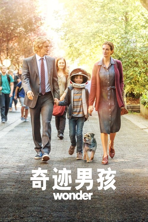 奇迹男孩封面