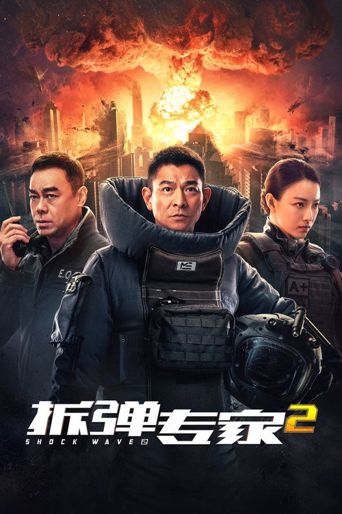 拆弹专家2封面