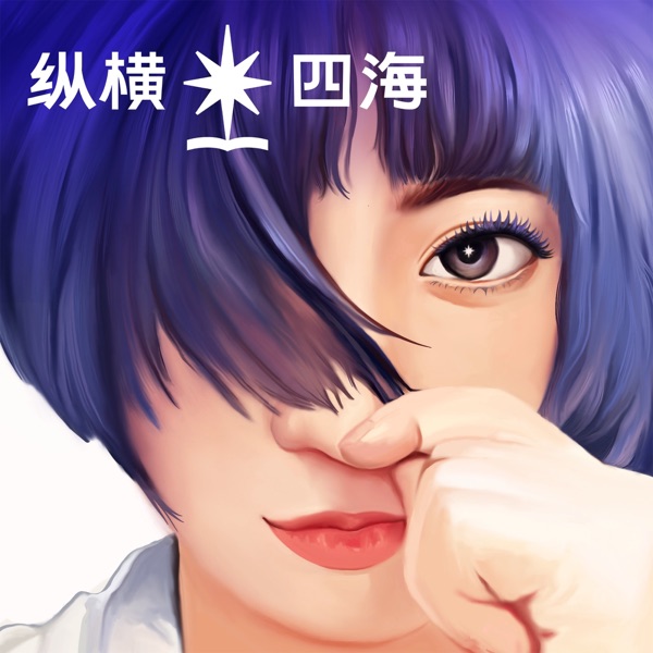 纵横四海封面