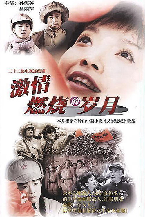 激情燃烧的岁月封面