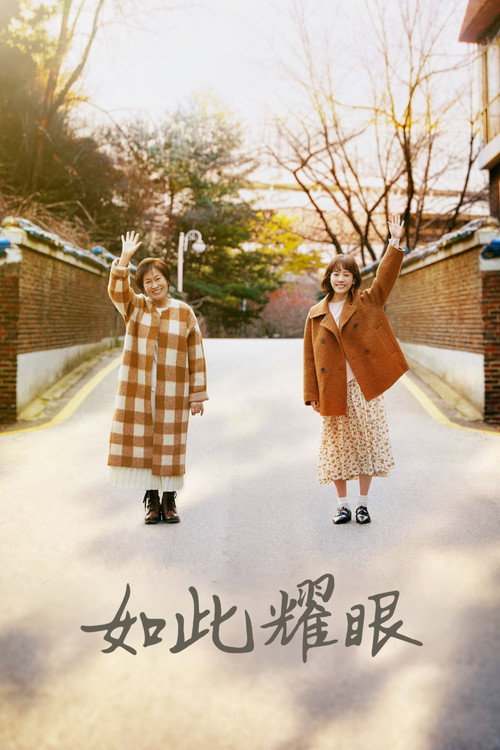 如此耀眼封面