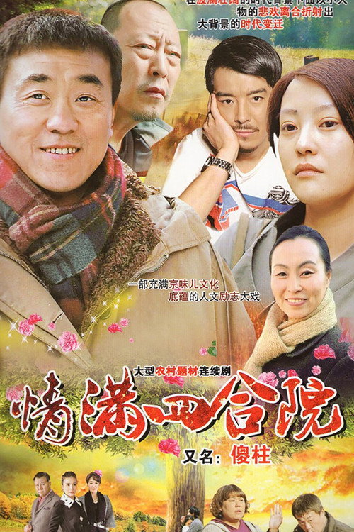 情满四合院封面